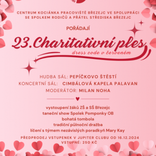 23. Charitativní ples