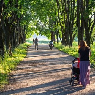 Závody kočárků v Třebíči