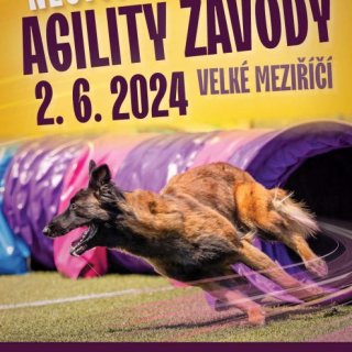 Agility závody Velké Meziříčí